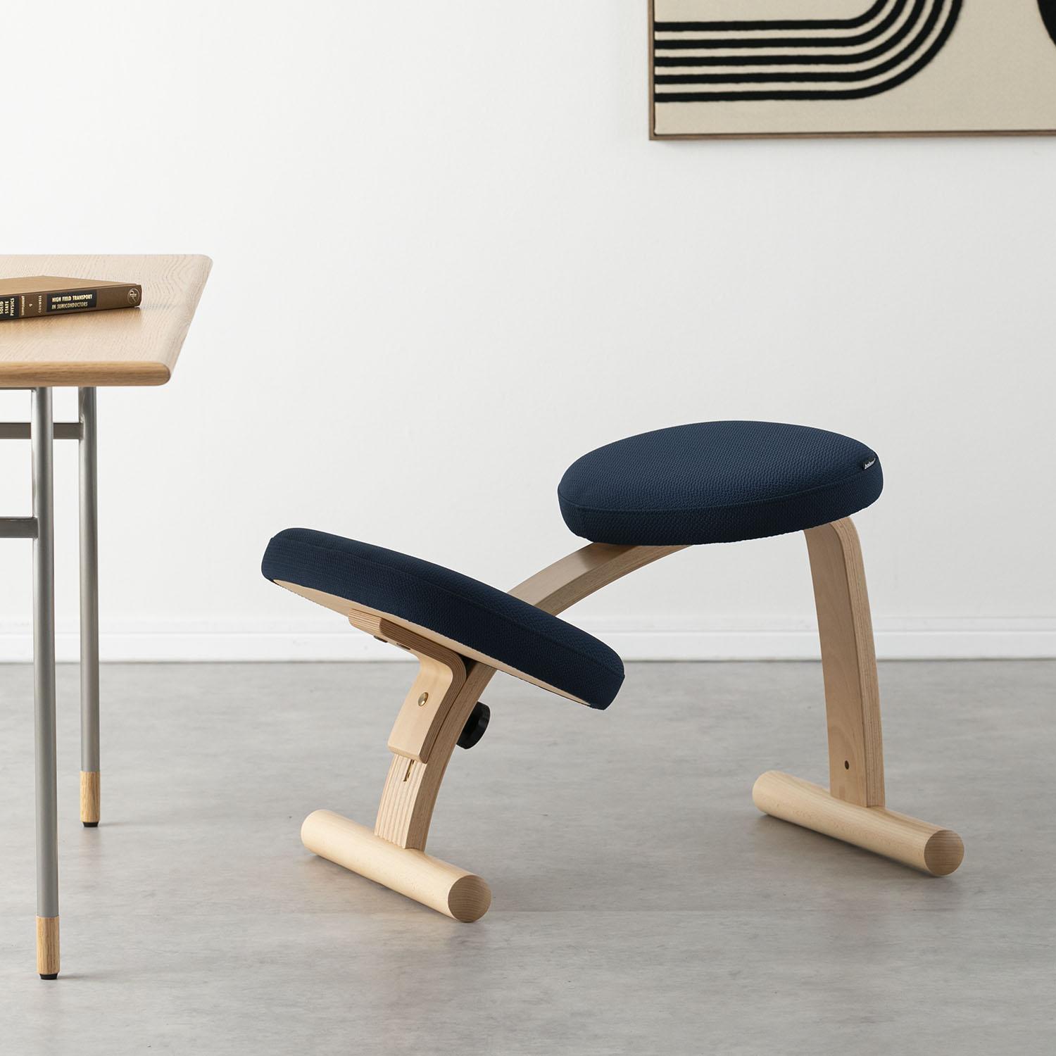 BALANS LAB バランスイージー チェア 通常フレームのレンタル